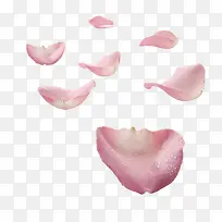 免抠透明漂浮的粉色花瓣