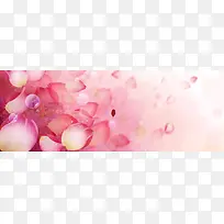 粉色花瓣淘宝背景