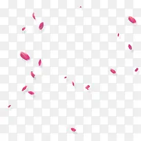 粉色漂浮花瓣海报