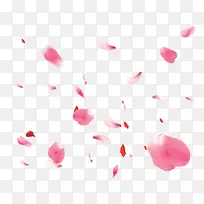 粉色漂浮粉红色花瓣