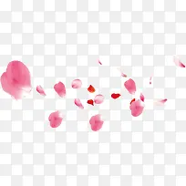 飘舞红色粉色玫瑰花瓣