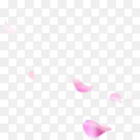 粉色花瓣宝贝背景