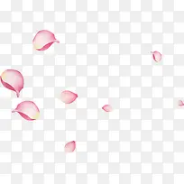 粉色漂浮玫瑰花瓣