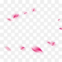 圆形排布粉色花瓣