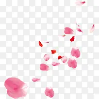 飘散粉色红色花瓣七夕情人节