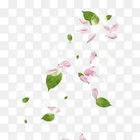 粉色飘浮花瓣植物树叶气泡
