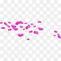 飘散的桃花瓣粉色花朵