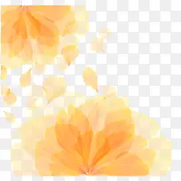 矢量橙色花朵花纹纹理