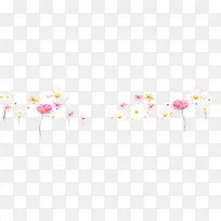 花，荷花，粉色花