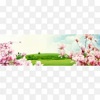 女装绿色背景