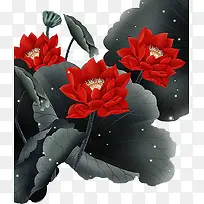 红荷