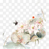 蝴蝶与荷花