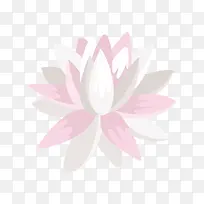 手绘荷花