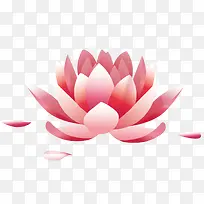 荷花手绘矢量