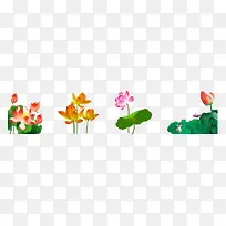 荷花