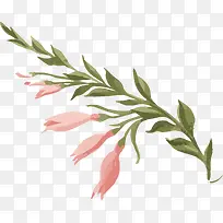 手绘水彩粉色花朵
