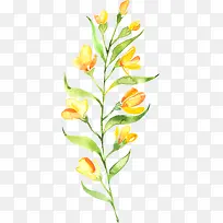 花卉ps素材植物花卉素材