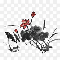 荷花