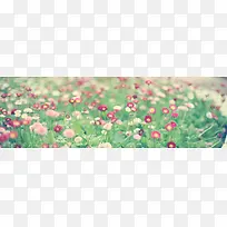 小清新花朵海报背景