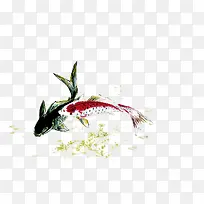 手绘绿红色金鱼装饰