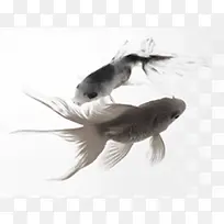 水墨古典艺术金鱼