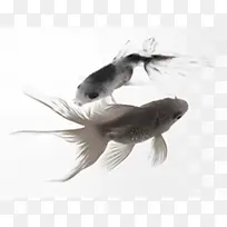 金鱼中国风水墨素材