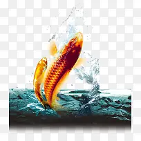 金鱼跳跃出水面