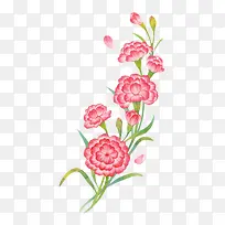 母亲节康乃馨花卉植物设计