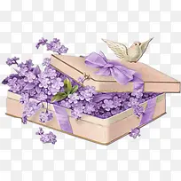 紫色花礼盒