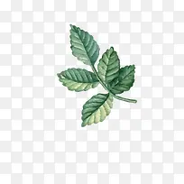 文艺清新花草海报设计装饰