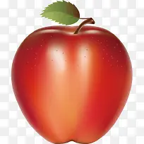 蔬菜 蔬果 瓜果 食物 水果