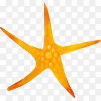 黄色海星星