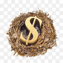 创意鸟巢中的钱币符号