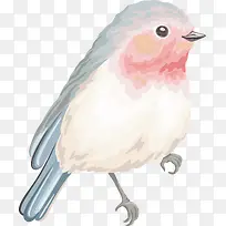 手绘卡通小鸟