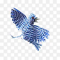 蓝色条纹小鸟