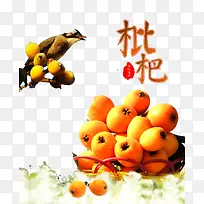 枇杷
