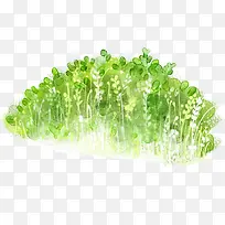 绿色清新草丛