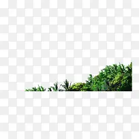 草
