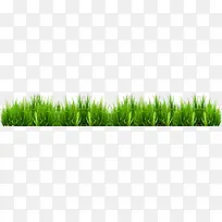 绿色春天草丛设计小草
