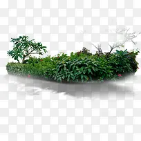 高清创意绿色草丛树木