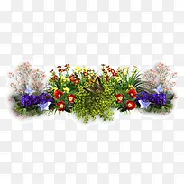 鲜花花丛