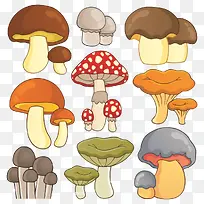 蘑菇 可爱 卡通 彩色