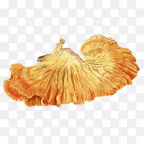 黄色手绘蘑菇
