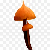 尖头蘑菇伞
