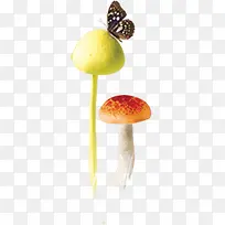 黄色蘑菇蝴蝶装饰
