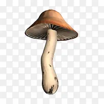 手绘咖色大蘑菇