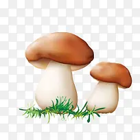 蘑菇