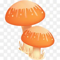 手绘卡通可爱蘑菇