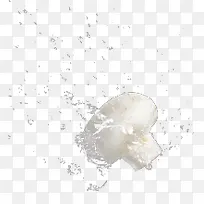 白色蘑菇飞舞水滴