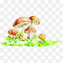 手绘童话黄色蘑菇草地